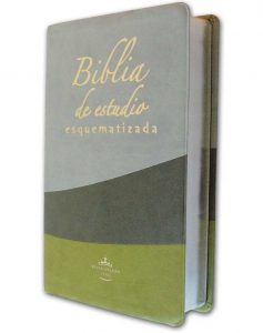 esquematizada-fina