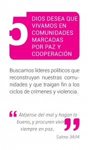 numero 5