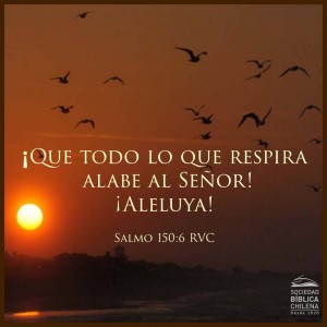 salmo_150_6_sbch